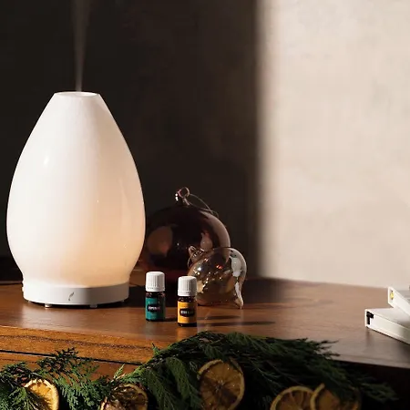 Katerberg 3* 알레펠드