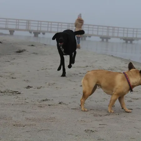 Katerberg 3* 알레펠드