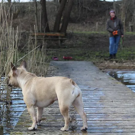 Katerberg 호텔 알레펠드