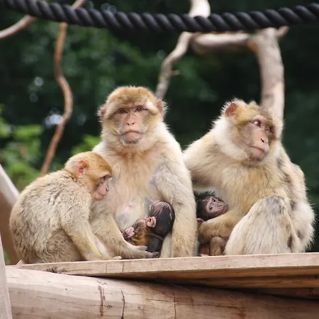 Katerberg 호텔 알레펠드