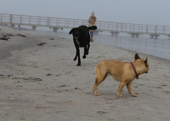 Katerberg 3* Ahlefeld