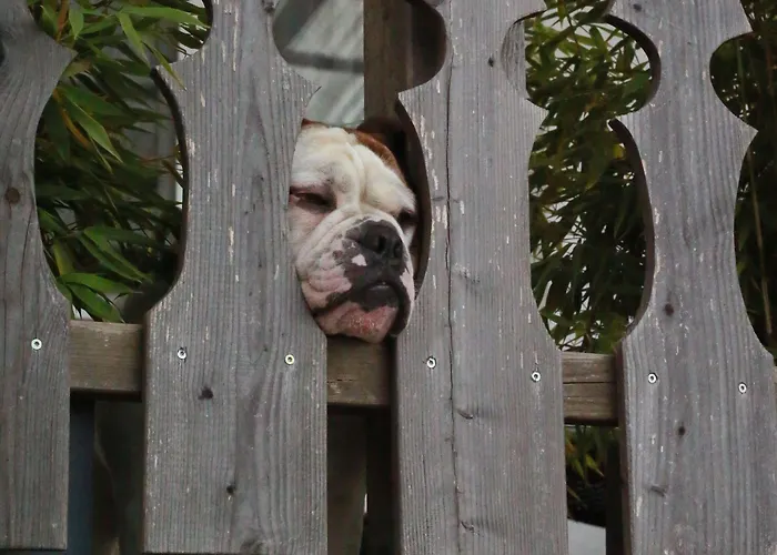 Ξενοδοχείο Katerberg