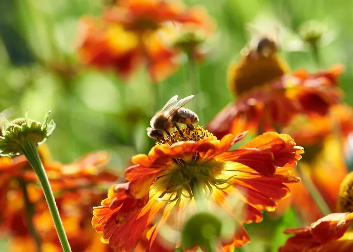 Ξενοδοχείο Katerberg