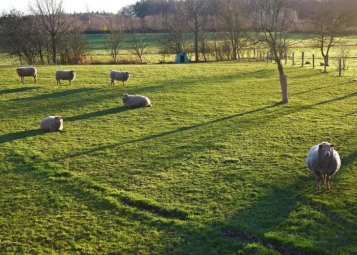 Ξενοδοχείο Katerberg 3*